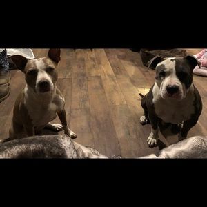 Meet your Posher, Brittney